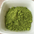 Matcha green tea powder certified organic